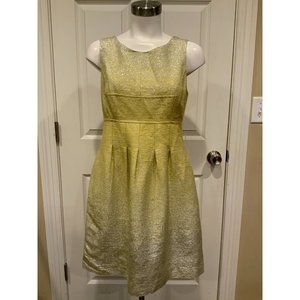 Lela Rose Yellow & Metallic Silver Ombre Sleeveless Fit & Flare Dress, Size 6